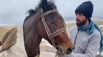 KARS'ta 2 yaşındaki yerli taylar için yarış düzenlendi