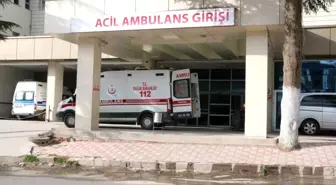 Afyonkarahisar'da bir kişi, kestiği ağacın altında kalarak can verdi