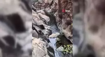 Mamaris'te kaybolan Çifçi'yi arama çalışmaları 8'inci gününde