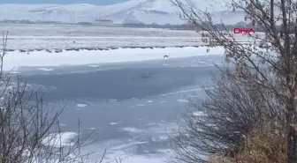Ardahan'da Kura Nehri'nin yüzeyi buzla kaplandı