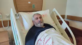 İnegöl'de Çobana Brusella Teşhisi