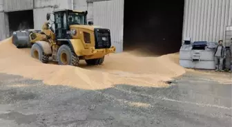 Bolu'da Yem Fabrikasında İşçi Hayatını Kaybetti