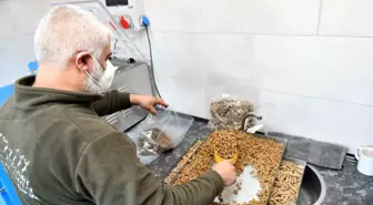 Esenyurt'ta Türkiye'nin en yüksek üretim kapasiteli mama üretim tesisi kuruldu