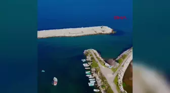 Kurucaşile Limanı Fırtına Sonrası Kumla Doldu
