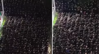 İtalya'yı ayağa kaldıran görüntü! Törene katılan neo-faşist gruplar Nazi selamı verdi