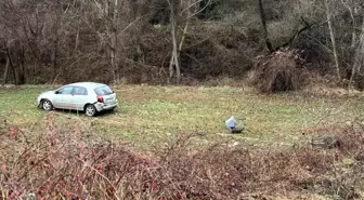 Bolu'da Otomobil Kazası: Sürücü Yaralandı