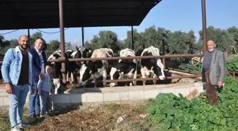 Tarsus'ta Köyümde Yaşamak İçin Bir Sürü Nedenim Var Projesi Kapsamında 10 Süt Üreticisine 65 Gebe İnek Verildi