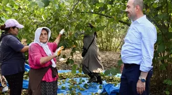 Terme Belediyesi, Kadın Girişimcileri Destekliyor