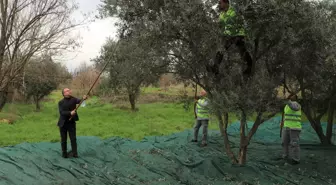 Turgutlu Belediyesi'nden Aşevi ve Hayır Merkezine 1000 Litre Zeytinyağı