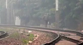 Hindistan Demiryolları, Sisli Havalarda Navigasyon Cihazı Temin Etti