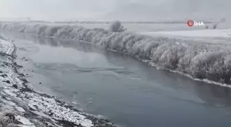 Yüksekova'da ağaçlar kırağı tuttu