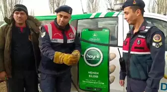 Sivas'ta Donmak Üzereyken Bulunan Dikenli Keler Adana'ya Gönderildi
