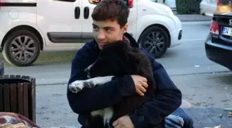 Adana'da sokakta yaşayan kimsesiz genç, yiyecekleri sokak hayvanlarıyla paylaşıyor