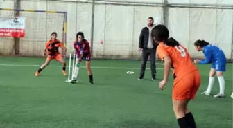 Mor Menekşeler Kız Futbol Takımı, Krikette de Başarılı