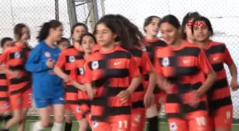 Mor Menekşeler Kız Futbol Takımı, Krikette de Başarılı