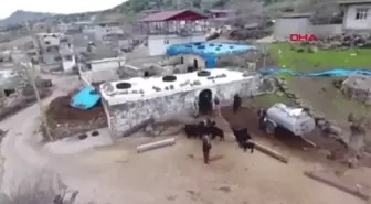 Kilis'te Kaybolan Keçiler Dron ile Bulundu