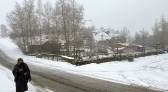 Ardahan ve Kars'ta Buzlanma, Sis ve Kar Yağışı Etkili Oldu