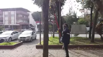 Efeler Belediyesi, Park ve Bahçelerde Bakım Çalışmalarını Sürdürüyor