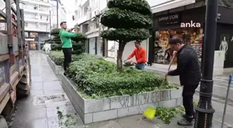 Marmaris Belediyesi Park ve Bahçeler ekipleri budama çalışmalarına devam ediyor