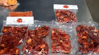 Muğla Büyükşehir Belediyesi Meyve Sebze Kurutma Tesisi Üreticilere Destek Oluyor