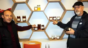 Sinop'ta bal florası çalışması başlatıldı