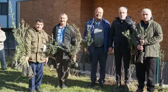 Çorum'un Osmancık ilçesinde zeytin fidanı dağıtımı başladı