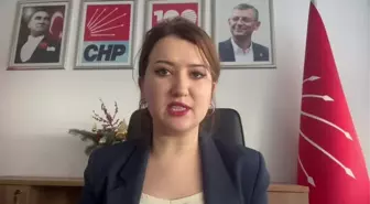 CHP Tandoğan'da Anayasal Düzene Sahip Çıkma Mitingi Düzenliyor