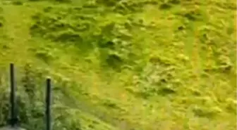 İBB Arıtma Tesisi'nde çalışan bir kişi, tartıştığı temizlik personelini bıçakladı