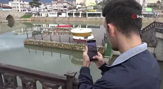 Irmakta nesli tükenme tehlikesindeki su samuru kameralara yansıdı