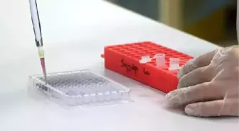 Kanser Cerrahisinde Başarı, Takım Çalışmasına Bağlıdır