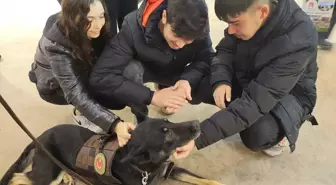 Orta Karadeniz Kariyer Fuarı'nda narkotik dedektör köpeği Bogar tanıtıldı