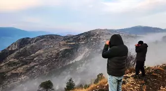 Ordu ve Tokat'ta Yaban Keçisi Popülasyonunda Artış Tespit Edildi