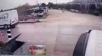 Finike'de Koçun Saldırısına Uğradı