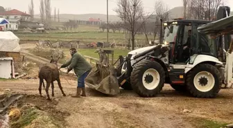 Ankara'da bataklığa saplanan eşek kepçeyle kurtarıldı