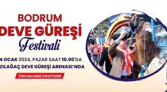 Bodrum Deve Güreşi Festivali Vatandaşlarla Buluşuyor