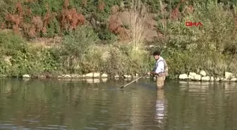 Leopar Sazanı Türü RTEÜ Bilim İnsanları Tarafından Bulundu