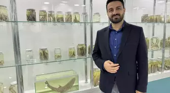 Dicle Nehri'nde 'leopar sazanı' tespit edildi