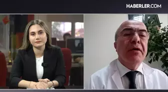 Enfeksiyon Hastalıkları Uzmanı Prof. Dr. Mustafa Ertek: Domuz gribi enfeksiyonları daha ağır geçiyor