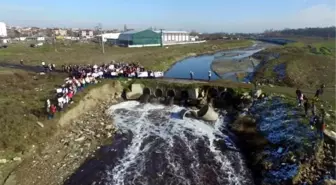 LÖSEV, Ergene Havzası'ndaki Kirliliğe Dikkat Çekti