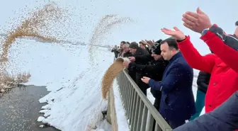 Van'ın Çaldıran ilçesinde yaban hayvanları için doğaya yem bırakıldı