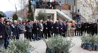 Erzurum'un Oltu ilçesinde zeytin fidanları dağıtıldı