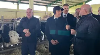 Burdur'da Süt Sığırı Çiftliklerinin Belgelendirilmesine Başlandı