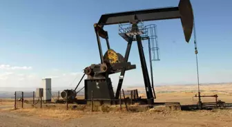Kızıldeniz'deki Gerginliklerin Küresel Ticaret ve Petrol Fiyatlarına Etkileri Tartışılıyor