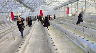 İzmit Ziraat Odası Üyeleri Darıca'daki AR-GE Serasını İnceledi