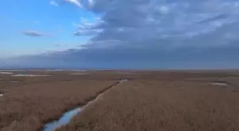 Edirne'deki Gala Gölü Milli Parkı'nda Dron Destekli Denetim Yapıldı