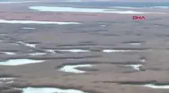 Enez'te Gala Gölü Milli Parkı'nda usulsüz kara avcılığı yapan kişi yakalandı