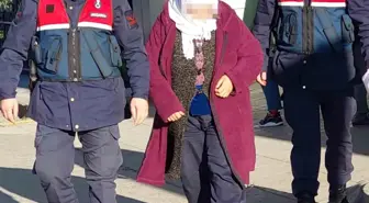 Samsun'da Hindiler Çalındı, Şüpheli Kadın Yakalandı