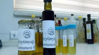 Zeytinyağındaki sahtecilik sosyal medya yöntemleriyle anlaşılamaz