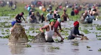 Assam'da Bhogali Bihu Festivali'nde Toplu Balık Tutma Etkinliği