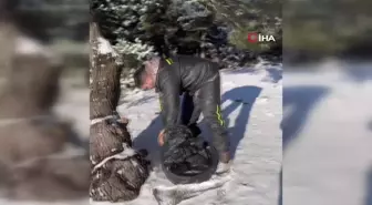 ATV tutkunları yaban hayvanlarını unutmadı